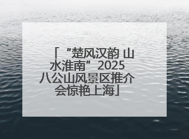 “楚风汉韵 山水淮南”2025八公山风景区推介会惊艳上海