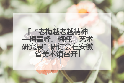 “老梅越老越精神——梅雪峰、梅纯一艺术研究展”研讨会在安徽省美术馆召开