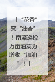 “花香”变“油香”！南漳巡检万亩油菜为增收“加油”！