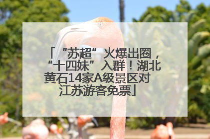 “苏超”火爆出圈，“十四妹”入群！湖北黄石14家A级景区对江苏游客免票