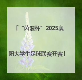 “茵浪杯”2025襄阳大学生足球联赛开赛