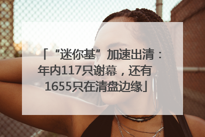 “迷你基”加速出清：年内117只谢幕，还有1655只在清盘边缘