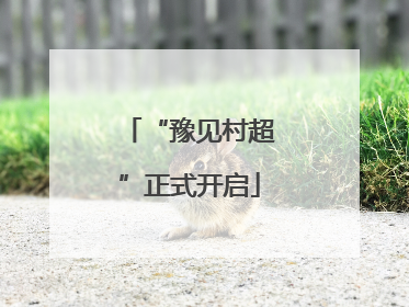 “豫见村超”正式开启
