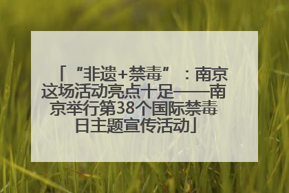 “非遗+禁毒”：南京这场活动亮点十足——南京举行第38个国际禁毒日主题宣传活动