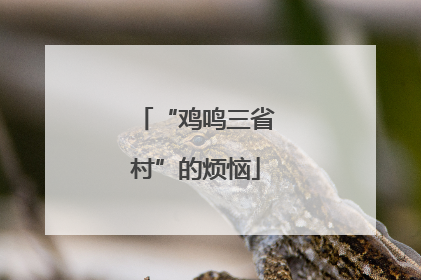 “鸡鸣三省村”的烦恼