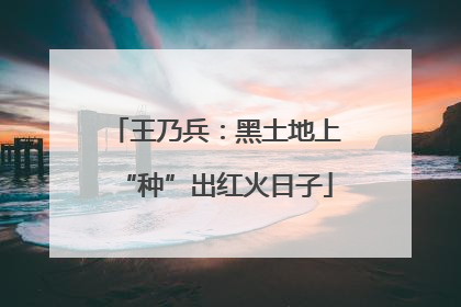 王乃兵：黑土地上“种”出红火日子