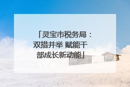 灵宝市税务局：双措并举 赋能干部成长新动能