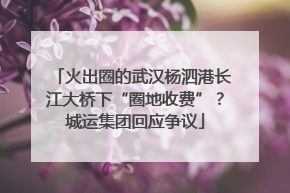 火出圈的武汉杨泗港长江大桥下“圈地收费”？城运集团回应争议