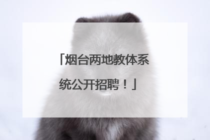 烟台两地教体系统公开招聘！