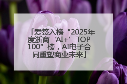 爱签入榜“2025年度浙商‘AI+’TOP100”榜，AI电子合同重塑商业未来