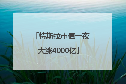 特斯拉市值一夜大涨4000亿