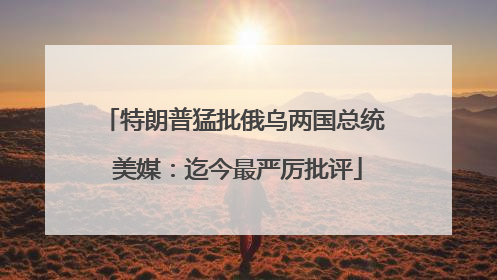 特朗普猛批俄乌两国总统 美媒：迄今最严厉批评