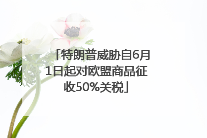 特朗普威胁自6月1日起对欧盟商品征收50%关税
