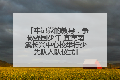 牢记党的教导，争做强国少年 宜宾南溪长兴中心校举行少先队入队仪式