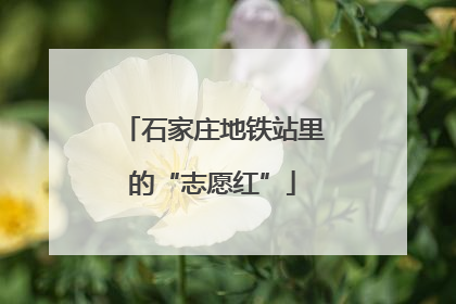 石家庄地铁站里的“志愿红”
