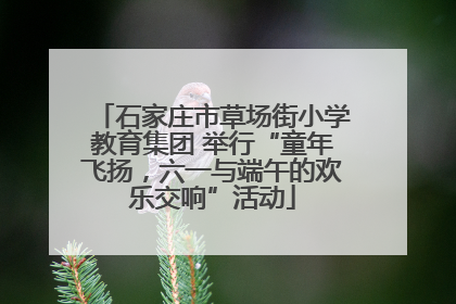石家庄市草场街小学教育集团 举行“童年飞扬，六一与端午的欢乐交响”活动