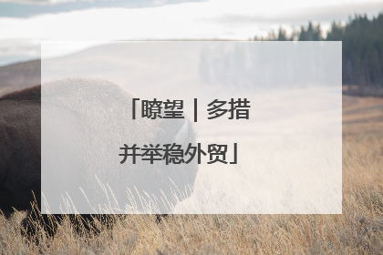 瞭望｜多措并举稳外贸