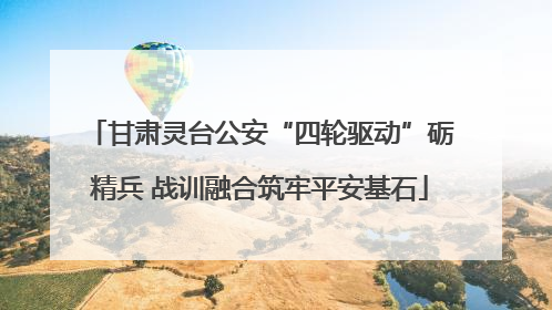 甘肃灵台公安“四轮驱动”砺精兵 战训融合筑牢平安基石
