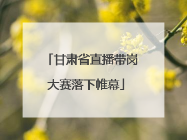 甘肃省直播带岗大赛落下帷幕