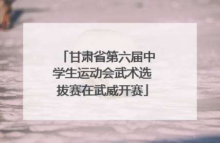 甘肃省第六届中学生运动会武术选拔赛在武威开赛