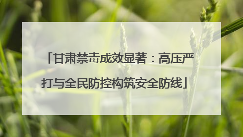 甘肃禁毒成效显著：高压严打与全民防控构筑安全防线