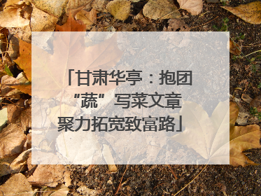 甘肃华亭：抱团“蔬”写菜文章 聚力拓宽致富路