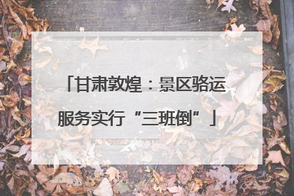 甘肃敦煌：景区骆运服务实行“三班倒”