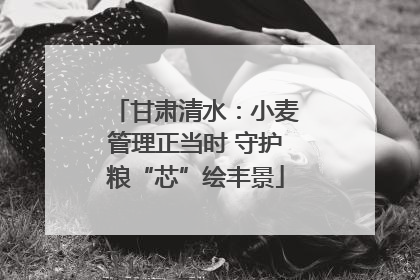 甘肃清水：小麦管理正当时 守护粮“芯”绘丰景