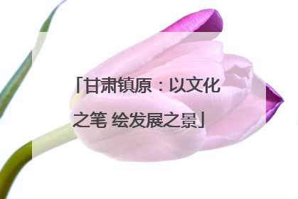 甘肃镇原：以文化之笔 绘发展之景