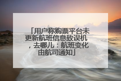 用户称购票平台未更新航班信息致误机，去哪儿：航班变化由航司通知