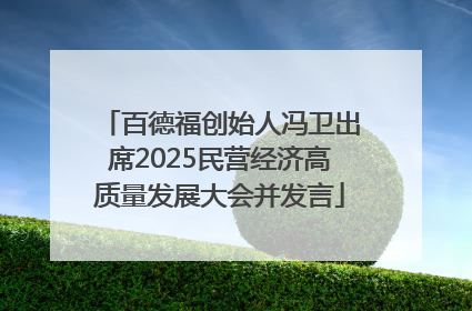 百德福创始人冯卫出席2025民营经济高质量发展大会并发言