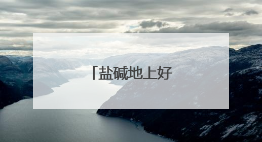 盐碱地上好“丰”景