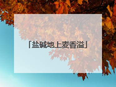 盐碱地上麦香溢