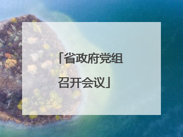 省政府党组召开会议