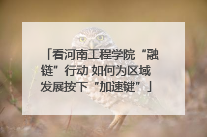 看河南工程学院“融链”行动 如何为区域发展按下“加速键”