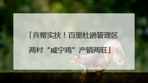 真帮实扶！百里杜鹃管理区两村“威宁鸡”产销两旺