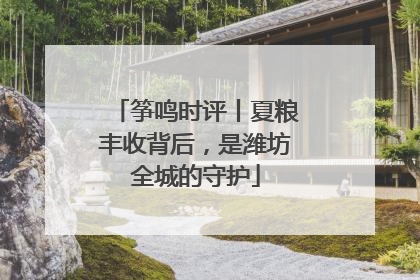 筝鸣时评丨夏粮丰收背后，是潍坊全城的守护