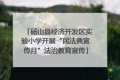 砀山县经济开发区实验小学开展“民法典宣传月”法治教育宣传