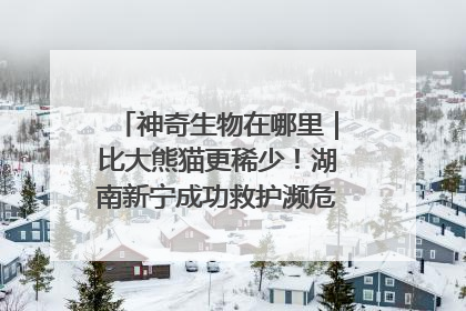 神奇生物在哪里｜比大熊猫更稀少！湖南新宁成功救护濒危鸟类海南鳽