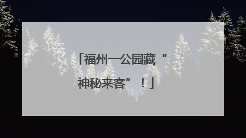 福州一公园藏“神秘来客”！