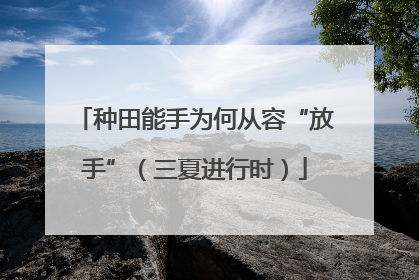 种田能手为何从容“放手”（三夏进行时）