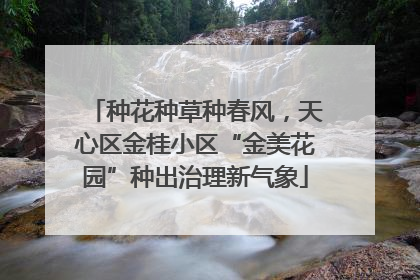 种花种草种春风，天心区金桂小区“金美花园”种出治理新气象