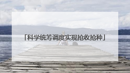 科学统筹调度实现抢收抢种