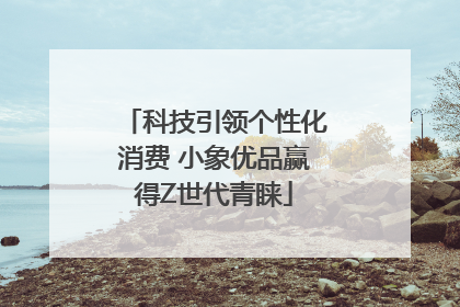 科技引领个性化消费 小象优品赢得Z世代青睐