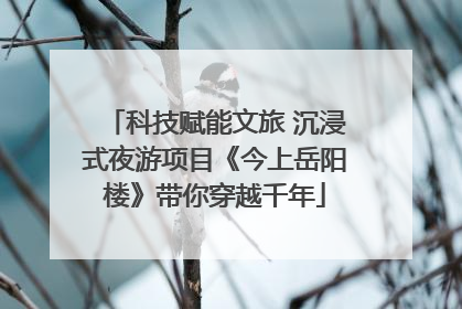 科技赋能文旅 沉浸式夜游项目《今上岳阳楼》带你穿越千年