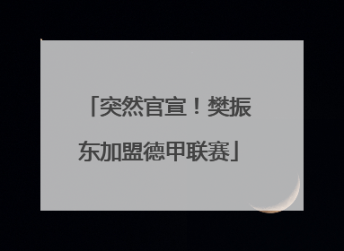 突然官宣！樊振东加盟德甲联赛