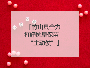 竹山县全力打好抗旱保苗“主动仗”