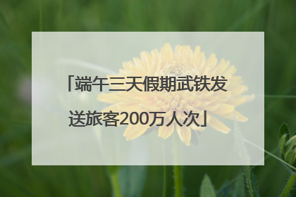 端午三天假期武铁发送旅客200万人次