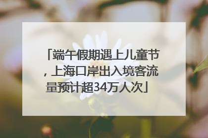端午假期遇上儿童节，上海口岸出入境客流量预计超34万人次