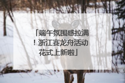 端午氛围感拉满！浙江赛龙舟活动花式上新啦